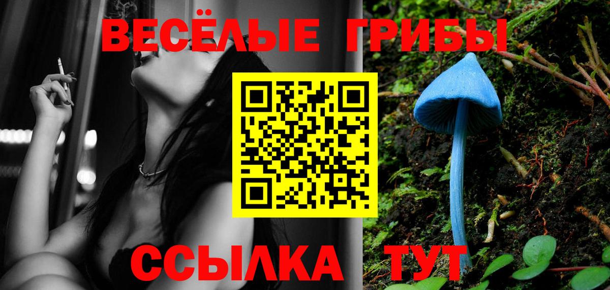 Галлюциногенные грибы Magic Shrooms Ефремов