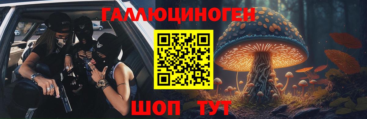 Псилоцибиновые грибы Psilocybe  Вход с VPN  Ефремов 